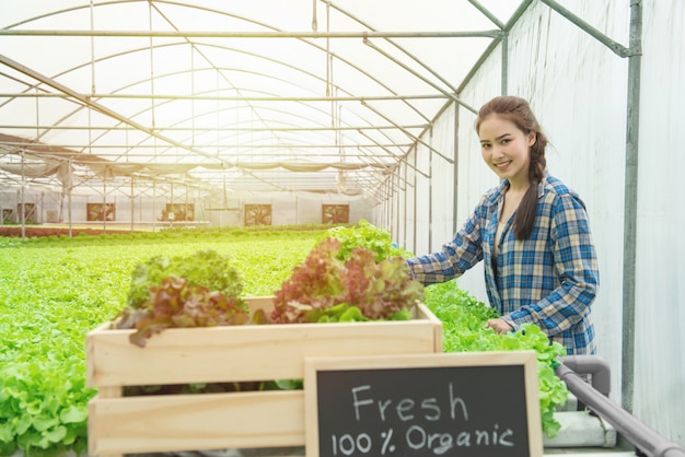 Foto granja de vegetales orgánicos, granjero de negocios, concepto de comida saludable