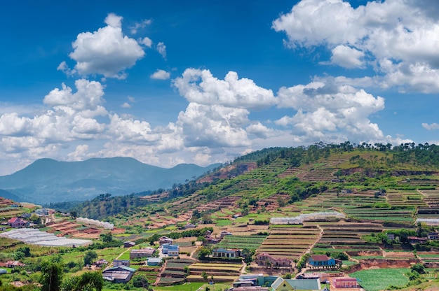 Granjas agrícolas en terrazas de montaña Dalat Vietnam