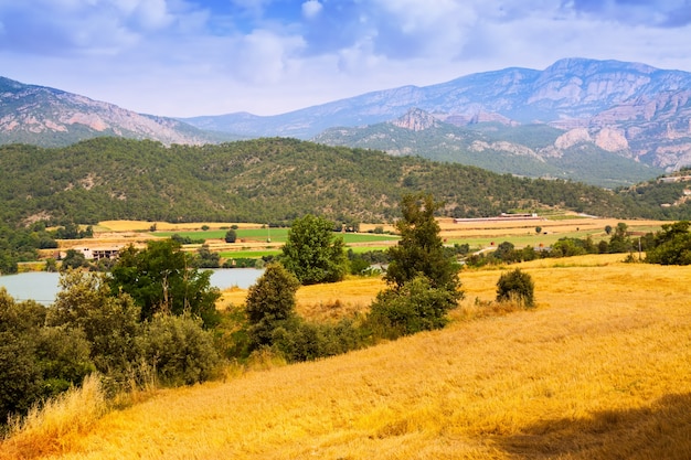 Granjas y campos en valle