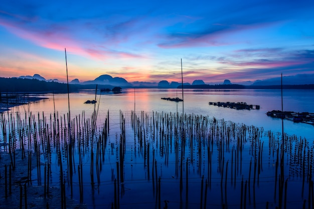 Las granjas de ostras en la aldea de pescadores de Samchong-tai, Phang Nga, Tailandia