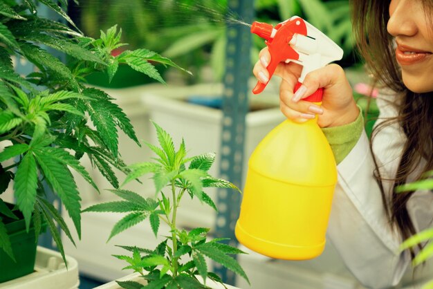 Granjera científica de primer plano que usa una botella de spray en una planta de cannabis gratificante