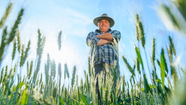 Granjero anciano en campo con trigo