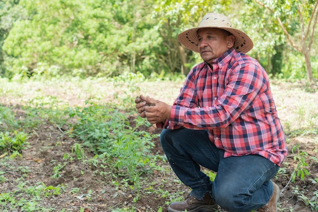 Granjero arrodillado en el campo cosechando por la mañana