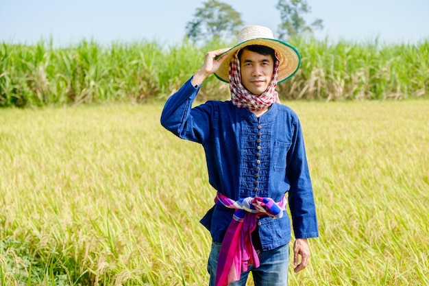 Granjero asiático con una camisa azul y un sombrero de pie y posando con una cara sonriente en el campo de arroz