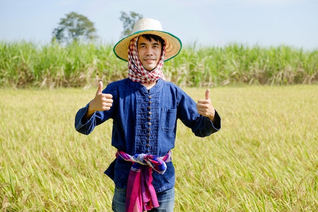 Granjero asiático con una camisa azul y un sombrero de pie y posando con el pulgar hacia arriba con una cara sonriente en el campo de arroz