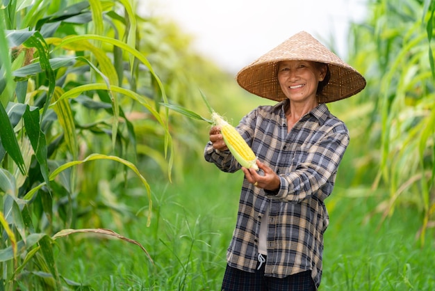 Granjero asiático feliz sosteniendo un hermoso maíz fresco y maíz perfecto en el campo Agricultura