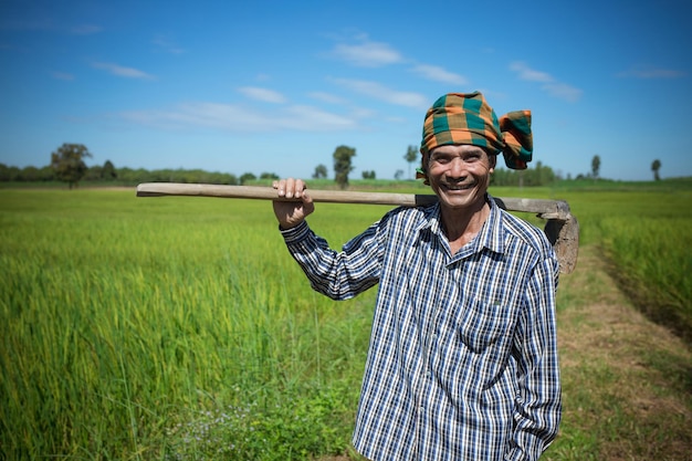 Granjero asiático del hombre mayor que se coloca en el campo de arroz verde del arroz con la felicidad.