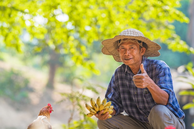 Granjero asiático con plátano en jardín de frutas de agricultura