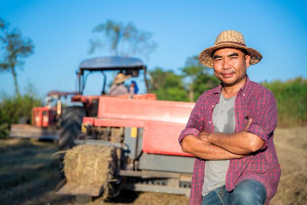 Granjero asiático con tractor agrícola cosechando pasto pangola utilizando dispositivos mecánicos, alimentación animal