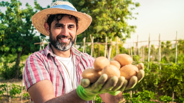 Granjero barbudo con sombrero y cosecha de patatas orgánicas en los campos Trabajador masculino