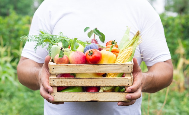 Granjero con caja de madera llena de frutas y verduras orgánicas frescas. Concepto de comida ecológica