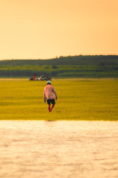 Foto un granjero camina por los campos un anciano camina por el pantano