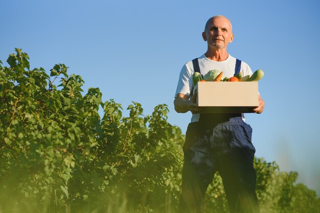 Granjero en un campo sosteniendo una caja de verduras