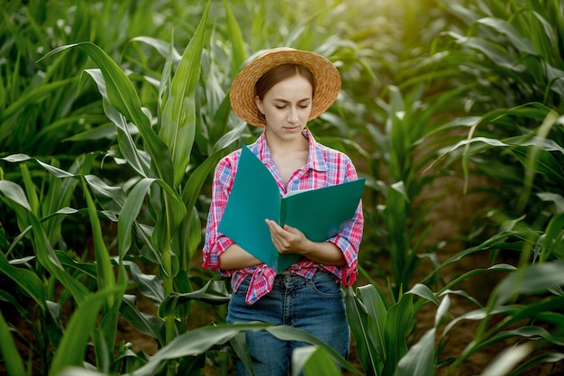 Granjero con una carpeta se encuentra en un campo de maíz y comprueba el crecimiento de verduras. Agricultura - producción de alimentos, concepto de cosecha.