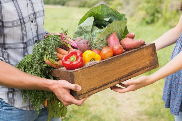 Granjero dando caja de verduras al cliente