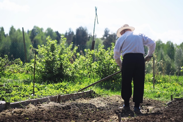 El granjero está cavando un jardín Un hombre con una cosechadora ara el jardín El abuelo canoso corta el jardín