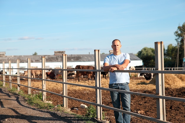 Granjero está trabajando en la granja con vacas lecheras.