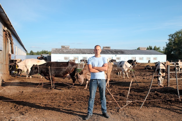 Granjero está trabajando en la granja con vacas lecheras.