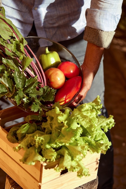 Granjero feliz con una cesta llena de verduras de temporada