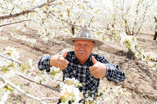 Granjero feliz senior con sombrero mostrando el pulgar hacia arriba signo está en un huerto florido viejo hombre sonriente positivo m