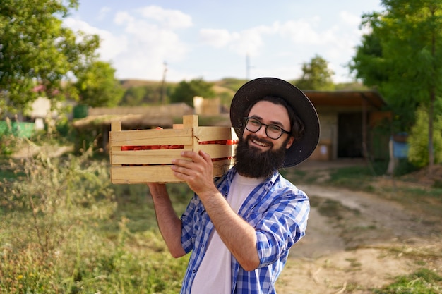 Granjero feliz sosteniendo tomates ecológicos cosechados caminando con una caja llena en el hombro hist