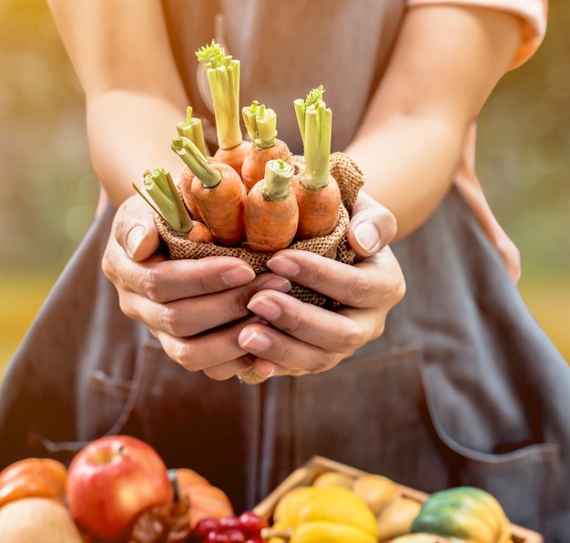 Granjero con fruta fresca en las manos. Cornucopia de la cosecha de otoño. Temporada de otoño con frutas y verduras. Concepto de día de acción de gracias.