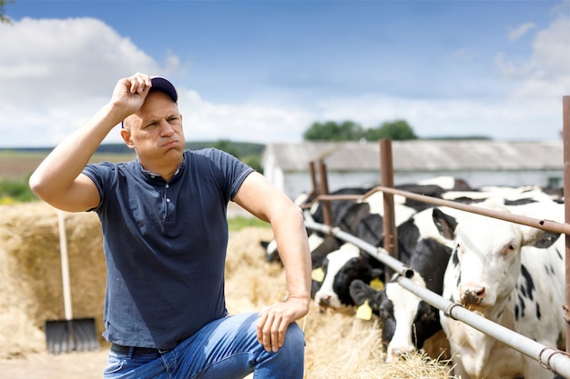 Granjero en la granja con vaca lechera