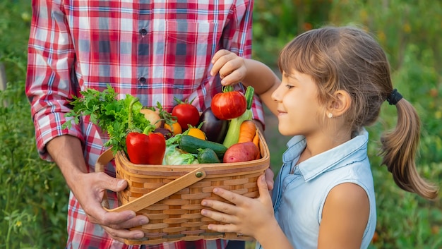 Granjero de hombre y un niño tienen una cosecha de verduras en sus manos