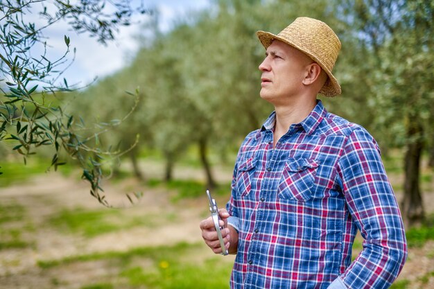 Granjero de hombre con sombrero de paja inspecciona la plantación de olivos.