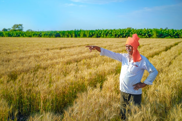 Granjero indio en el campo de trigo dorado