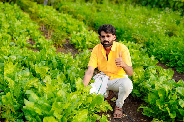 Granjero indio en el campo vegetal