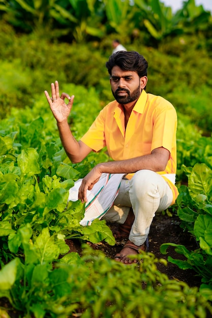 Granjero indio en el campo vegetal