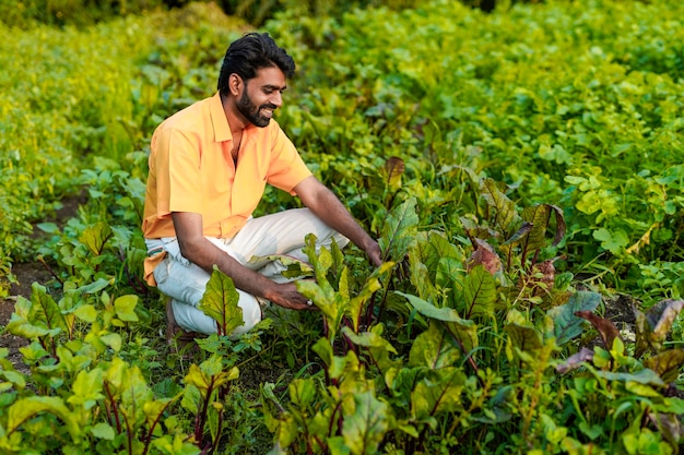 Granjero indio en el campo vegetal