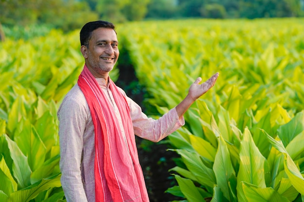 Granjero indio feliz en el campo agrícola verde de la cúrcuma