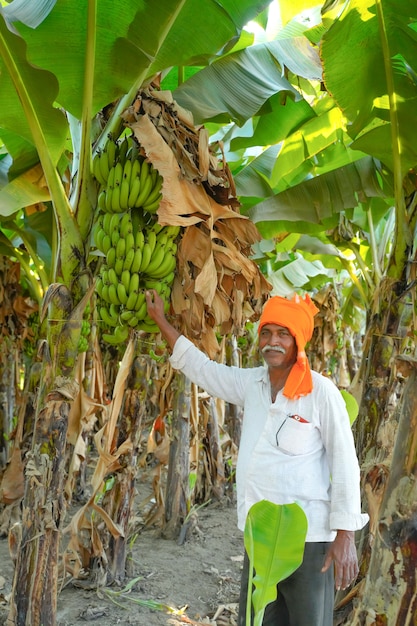 Granjero indio de pie en el campo de banano