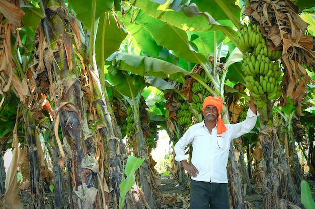 Granjero indio de pie en el campo de banano