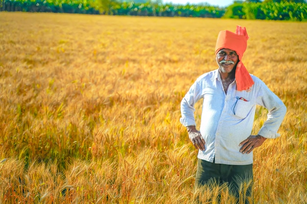 Granjero indio de pie en el campo de trigo