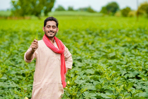 Granjero indio de pie y sosteniendo ladyfinger en mano en el campo de la agricultura.