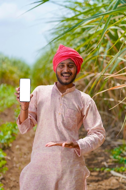 Granjero indio que muestra el teléfono inteligente en el campo de la agricultura de caña de azúcar.