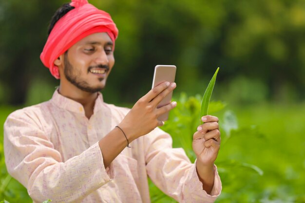 Granjero indio con smartphone en el campo de la agricultura.