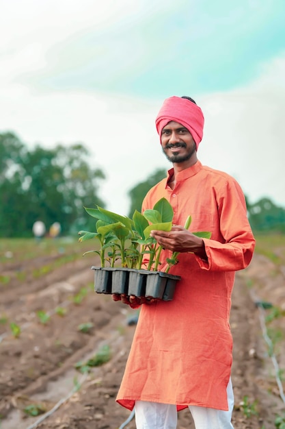 Granjero indio sosteniendo y mostrando una planta de banano en el campo agrícola