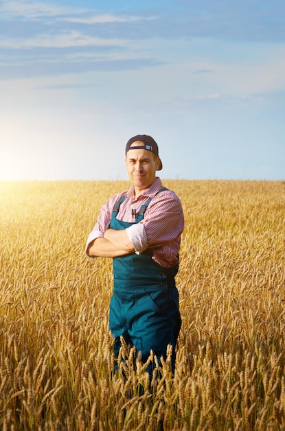 granjero, inspeccionar, campo de trigo