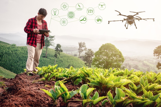 Granjero inteligente que utiliza tecnología de control de agricultura con drones para rociar fertilizantes o insecticidas en los campos. Agricultura industrial y agricultura inteligente tecnología de drones concepto de granja inteligente.