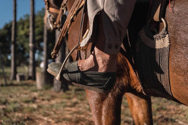 Granjero local montado en su caballo. Gaucho.