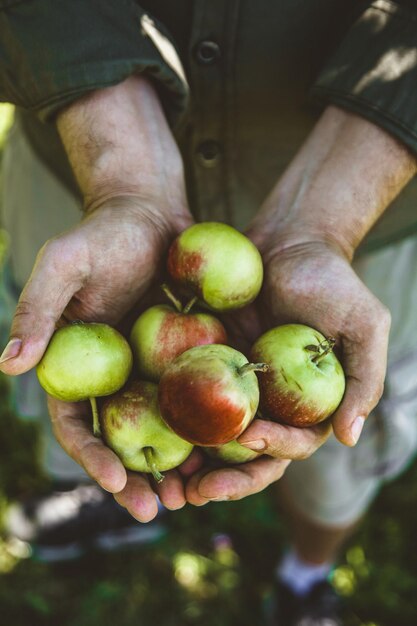 Granjero con manzanas