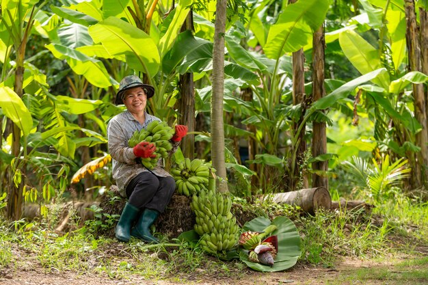 Granjero de mujer asiática con plátano verde en granja. Concepto de agricultura.