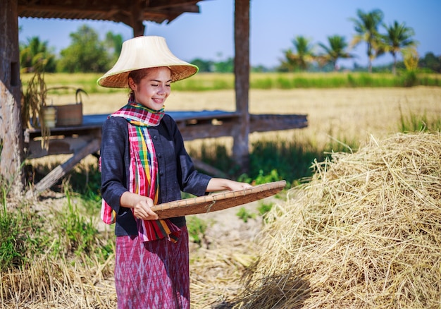 granjero mujer trillado arroz en el campo