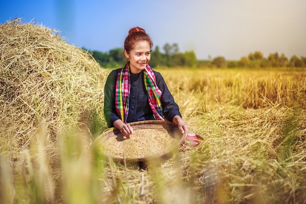 granjero mujer trillado arroz en el campo