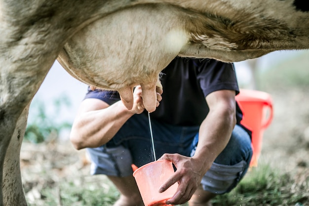 Foto granjero ordeñando a una vaca