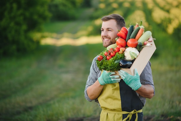 granjero, proceso de llevar, caja, de, recogido, vegetales